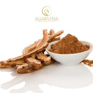 Bột Trầm Hương - Agarwood Powder