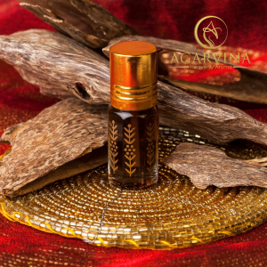 Trầm Miếng - Agarwood Chips